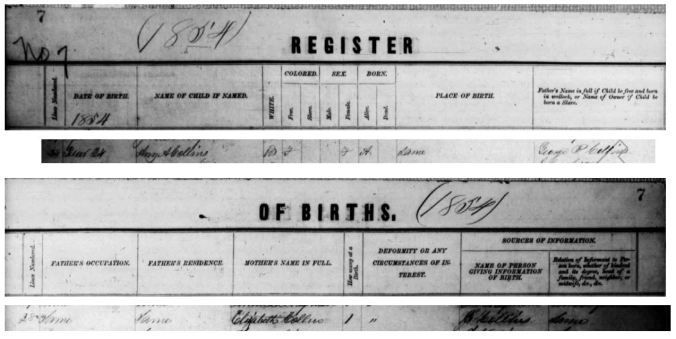 Amy Collins 1854 Birth Register